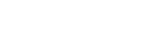 logo all white.png